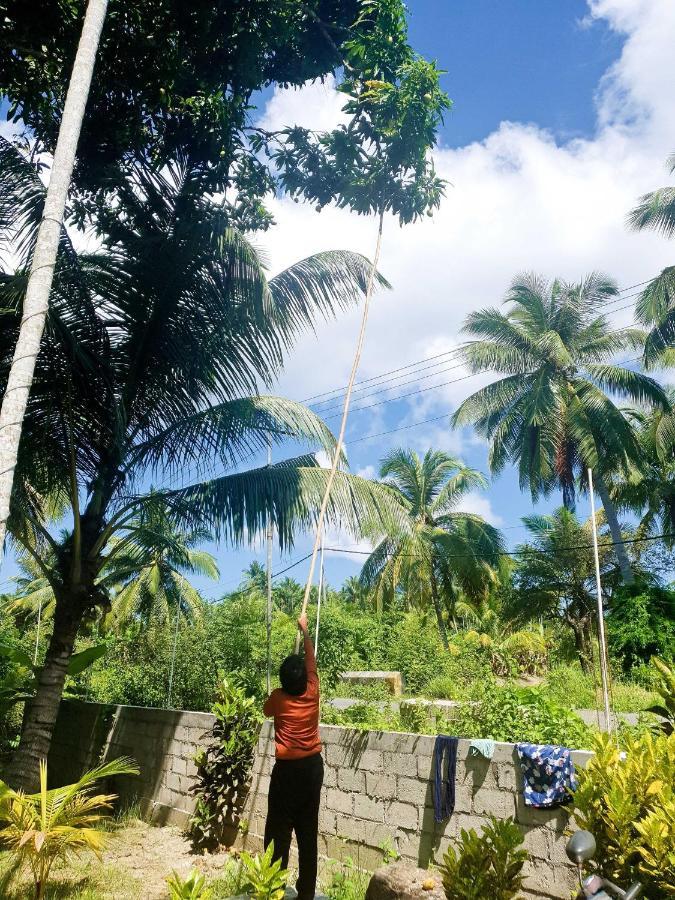Blue Lagoon Resort, Neil Island Sitapur Экстерьер фото